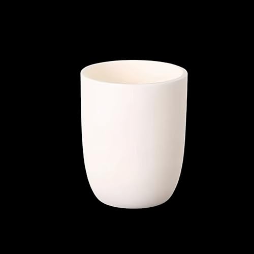 Hochdichter Aluminiumoxid-Lichtbogentiegel 3 bis 300 ml – Industrieller Korundtiegel for Schmelzen von Metallen, Keramik und Glas – 1 Stück(20.01ml) von ITITI