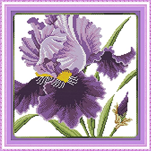 ITSTITCH Kreuzstich-Set für Anfänger, vorgedrucktes Muster für Kinder oder Erwachsene, Stickerei-Starter-Set, 14 Fäden, violette Blüten, 33 x 33 cm ITSTITCH Kreuzstich-Set für Anfänger, vorgedrucktes Muster für Kinder oder Erwachsene, Stickerei-Starter-Set, 14 Fäden, violette Blüten, 33 x 33 cm von ITSTITCH