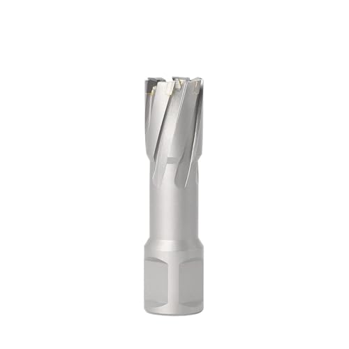 TCT-Ringfräser, 12–60 mm Durchmesser, 35 mm Schnitttiefe, Mag-Bohrer, Weldon-Schaft, Wolframkarbid-bestückte Metalllochsäge(19X35) von IUBPWMS