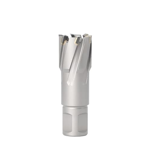 TCT-Ringfräser, 12–60 mm Durchmesser, 35 mm Schnitttiefe, Mag-Bohrer, Weldon-Schaft, Wolframkarbid-bestückte Metalllochsäge(25X35) von IUBPWMS