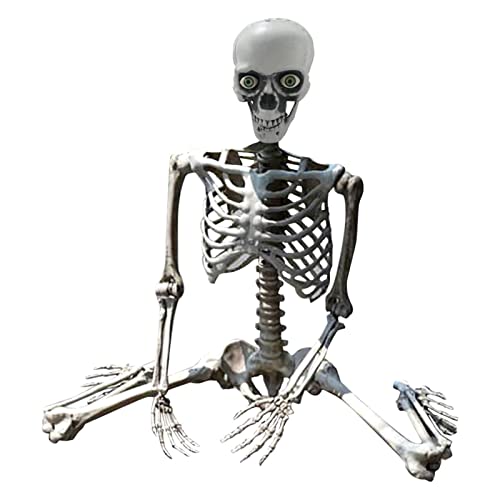 Halloween- Requisiten-Deko Halloween- lebensgroß Ganzkörper bewegliche Gelenke Skelette Mensch in voller Größe Hand Leben Körper Anatomie Modell Partydekoration Für Männer Zum 60. (C, One Size) von IUNSER