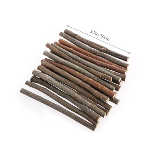 IWOWHERO 20 Stück Log -Stick -Requisiten Stumpf Filialen für das Handwerk Mini-Sticks Dekoration Lolly-Sticks zum Basteln Stümpfe Holzstäbchen selbstgemachte Stöcke Bambus IWOWHERO 20 Stück Log -Stick -Requisiten Stumpf Filialen für das Handwerk Mini-Sticks Dekoration Lolly-Sticks zum Basteln Stümpfe Holzstäbchen selbstgemachte Stöcke Bambus von IWOWHERO