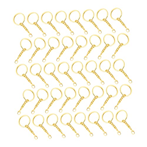 IWOWHERO 50 Stück Goldene Schlüsselanhänger mit Karpfenhaken Diy Zubehör für Schlüsselringe Metallringe Flache Schlüsselketten für Projekte IWOWHERO 50 Stück Goldene Schlüsselanhänger mit Karpfenhaken Diy Zubehör für Schlüsselringe Metallringe Flache Schlüsselketten für Projekte von IWOWHERO