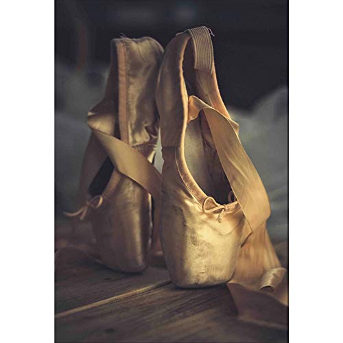 QYQY DIY 5D Ballerina Ballette Schuhe Full Diamond Painting Kreuzstich-Kits Kunst Hochwertige szenische 3D-Farbe von Diamanten(15.8x19.7inch) von IYVYI