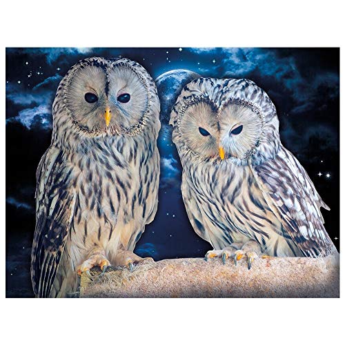 Ideen mit Herz 5D Diamond Painting | Diamant Painting Set | 35 x 25 cm | Motivleinwand | runde Steinchen | inkl. Zubehör | Verschiedene Bilder zur Auswahl (Eulen 01) von Ideen mit Herz