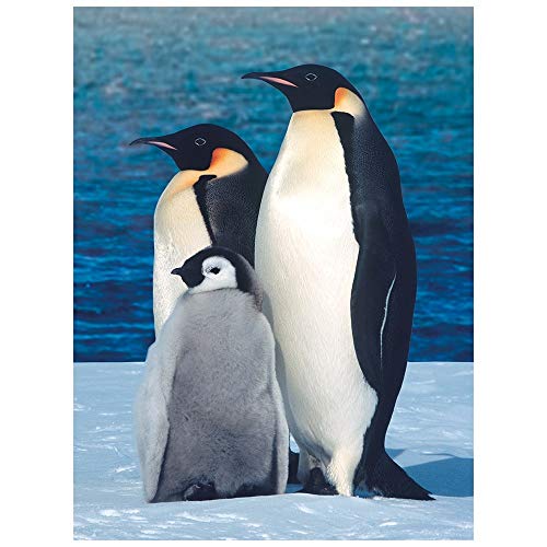 Ideen mit Herz 5D Diamond Painting | Diamant Painting Set | 35 x 25 cm | Motivleinwand | runde Steinchen | inkl. Zubehör | Verschiedene Bilder zur Auswahl (Pinguine) von Ideen mit Herz