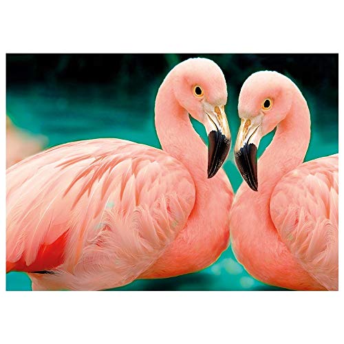 Ideen mit Herz 5D Diamond Painting | Diamant Painting Set | Motiv: 35 x 25 cm | Leinwand: 30 x 40 cm | runde Steinchen | inkl. Zubehör | Verschiedene Bilder zur Auswahl (Flamingos) von Ideen mit Herz