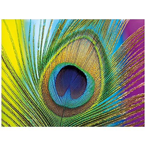 Ideen mit Herz 5D Diamond Painting | Diamant Painting Set | Motiv: 35 x 25 cm | Leinwand: 30 x 40 cm | runde Steinchen | inkl. Zubehör | Verschiedene Bilder zur Auswahl (Pfauenfeder) von Ideen mit Herz