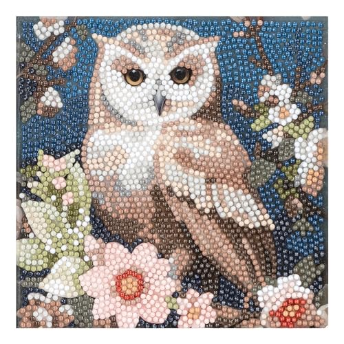 Ideen mit Herz Diamond-Painting-Karte | 16 cm x 16 cm | 370 g/m² | Inkl. Werkzeug (Eule mit Blumen) von Ideen mit Herz