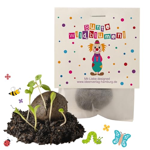 Ideenverlag HAMBURG 10x Clown Samenbomben Kindergeburtstag Clown Mitgebsel Clowngeburtstag Geschenke Saatbomben Kinder Kleinigkeiten Karneval Ideenverlag HAMBURG 10x Clown Samenbomben Kindergeburtstag Clown Mitgebsel Clowngeburtstag Geschenke Saatbomben Kinder Kleinigkeiten Karneval von Ideenverlag HAMBURG
