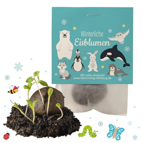 10x "Polartiere" Winter Samenbomben Kindergeburtstag / treiben aus bei Kälte! / Polartiere Mitgebsel Polartieregeburtstag Geschenke Kindergeburtstag Mitgebsel Kindergeburtstag Polartiere Kleinigkeit 10x "Polartiere" Winter Samenbomben Kindergeburtstag / treiben aus bei Kälte! / Polartiere Mitgebsel Polartieregeburtstag Geschenke Kindergeburtstag Mitgebsel Kindergeburtstag Polartiere Kleinigkeit von Ideenverlag HAMBURG