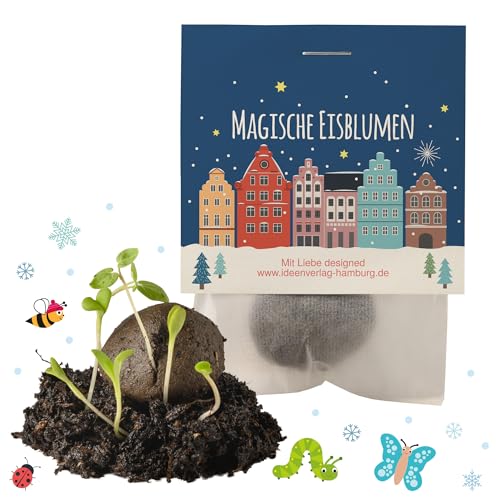 10x "Winterlandschaft" Winter Samenbomben / treiben aus bei Kälte / kleine Geschenke Kollegen Saatbomben Gäste Gastgeschenk Kinder Dankeschön Kleinigkeiten von Ideenverlag HAMBURG