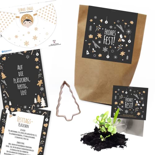 Ideenverlag-Hamburg 'Frohes Fest' Wundertüte zu Weihnachten / nachhaltige Winterüberraschung / Mitbringseltüte / Aufmerksamkeit / plastikfrei / Samenbomben / Keksausstecher / Geschenktüten von Ideenverlag HAMBURG