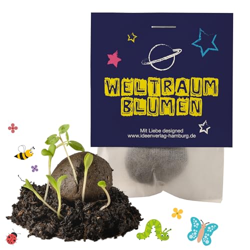Ideenverlag HAMBURG 10x Weltraum Samenbomben Kindergeburtstag Weltraum Mitgebsel Weltraumgeburtstag Geschenke Saatbomben Kinder Kleinigkeiten von Ideenverlag HAMBURG