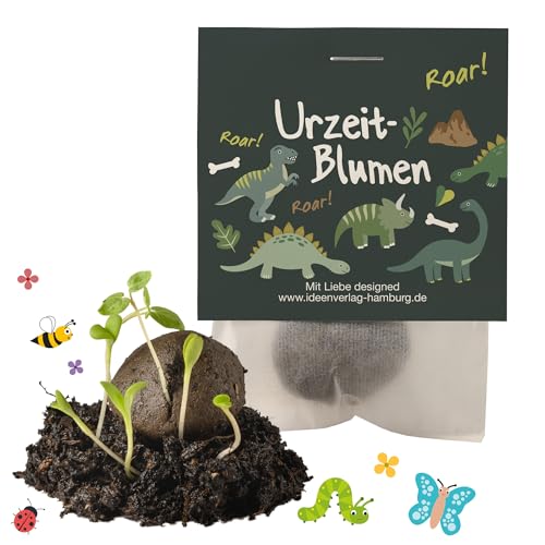 Ideenverlag HAMBURG 10x Dinosaurier Samenbomben Kindergeburtstag Dino Mitgebsel Dinogeburtstag Geschenke Saatbomben Kinder Kleinigkeiten Dino Ideenverlag HAMBURG 10x Dinosaurier Samenbomben Kindergeburtstag Dino Mitgebsel Dinogeburtstag Geschenke Saatbomben Kinder Kleinigkeiten Dino von Ideenverlag HAMBURG