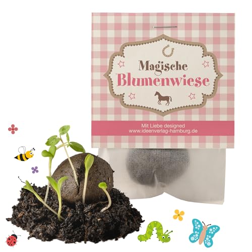 Ideenverlag HAMBURG 10x Pferde Samenbomben Kindergeburtstag/Pferde Mitgebsel Pferdegeburtstag Geschenke Mitgebsel Saatbomben Kinder Kleinigkeiten Ideenverlag HAMBURG 10x Pferde Samenbomben Kindergeburtstag/Pferde Mitgebsel Pferdegeburtstag Geschenke Mitgebsel Saatbomben Kinder Kleinigkeiten von Ideenverlag HAMBURG