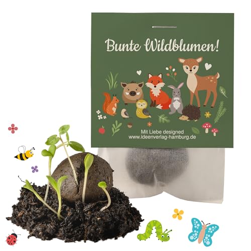 Ideenverlag HAMBURG 10x Waldtiere Samenbomben Kindergeburtstag/Waldtiere Mitgebsel Waldtieregeburtstag/Geschenke Samenbomben Mitbringsel/Saatbomben Kinder Ideenverlag HAMBURG 10x Waldtiere Samenbomben Kindergeburtstag/Waldtiere Mitgebsel Waldtieregeburtstag/Geschenke Samenbomben Mitbringsel/Saatbomben Kinder von Ideenverlag HAMBURG