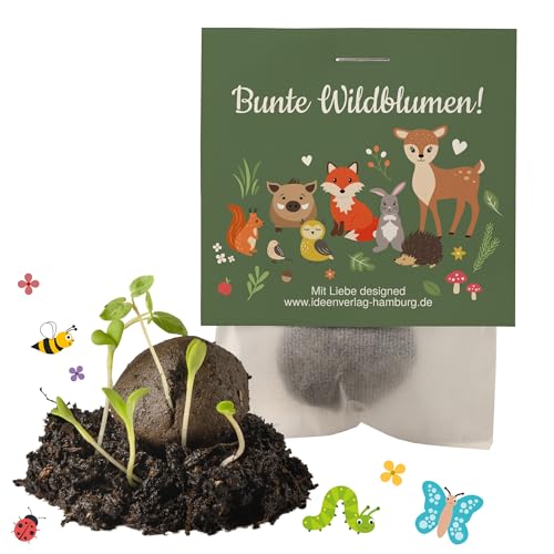 10x "Waldtiere" Samenbomben Kindergeburtstag / Waldtiere Mitgebsel Waldtieregeburtstag / Geschenke Kindergeburtstag Mitgebsel Kindergeburtstag Waldtiere / Samenbomben Mitgebsel / Saatbomben Kinder von Ideenverlag HAMBURG