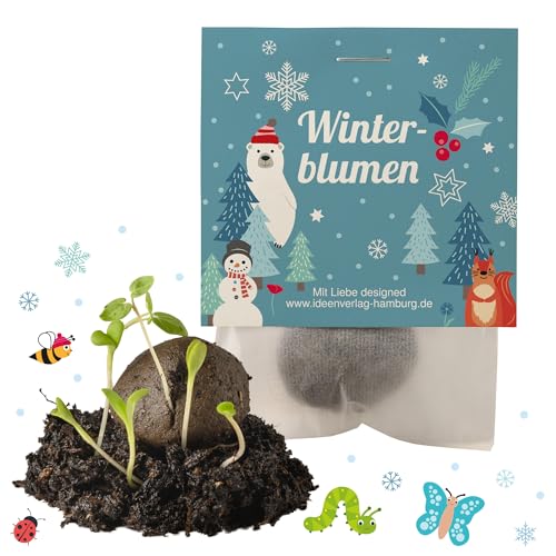 Ideenverlag HAMBURG 10x Winterblumen Winter Samenbomben Kindergeburtstag/Treiben aus bei Kälte! / Wintergeburtstag Geschenke Mitgebsel Kindergeburtstag Kleinigkeit Ideenverlag HAMBURG 10x Winterblumen Winter Samenbomben Kindergeburtstag/Treiben aus bei Kälte! / Wintergeburtstag Geschenke Mitgebsel Kindergeburtstag Kleinigkeit von Ideenverlag HAMBURG