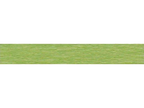 Idena 617153 - Krepppapier 1 Rolle 50 x 250 cm, weiß - grün von Idena