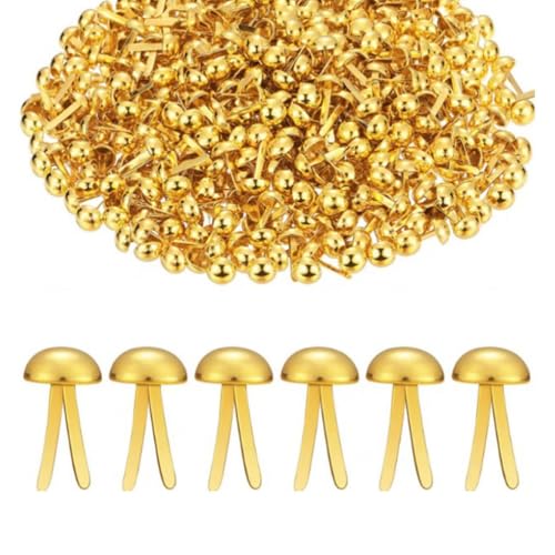 Ieron Brads-Papierverschlüsse, Mini-, runde Metall-Scrapbooking-Brads, Mini-Stifte, Splintstifte für Papierbasteln, DIY-Stempeln, Scrapbooking, 4,5 x 8 mm, Gold, 200 Stück Ieron Brads-Papierverschlüsse, Mini-, runde Metall-Scrapbooking-Brads, Mini-Stifte, Splintstifte für Papierbasteln, DIY-Stempeln, Scrapbooking, 4,5 x 8 mm, Gold, 200 Stück von Ieron