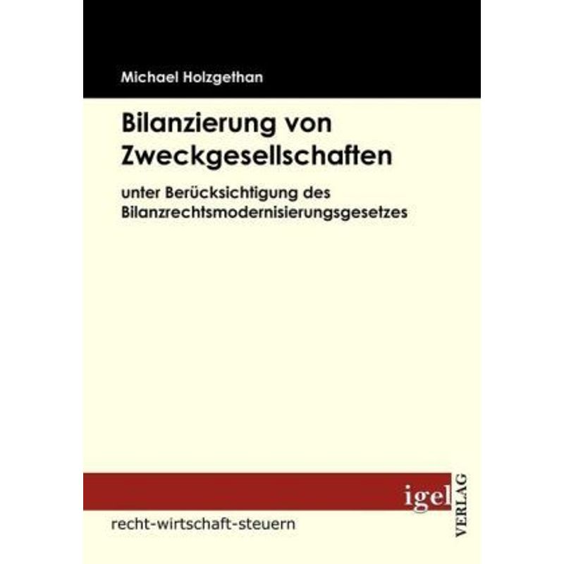 Recht-Wirtschaft-Steuern / Bilanzierung Von Zweckgesellschaften - Michael Holzgethan, Kartoniert (TB) von Igel Verlag Literatur & Wissenschaft