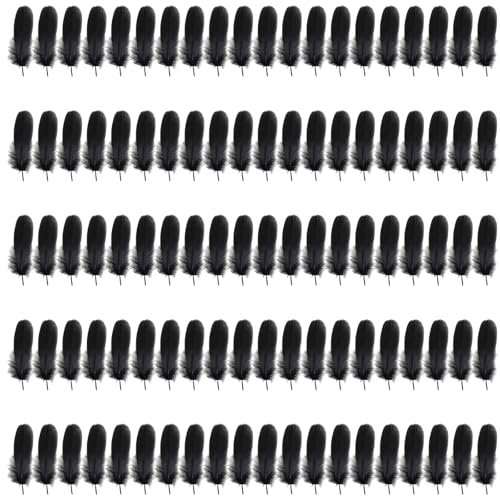 Illkjasfc 100 Stück natürliche Flügel, natürliche schwarze Flügeldekoration für Traumfänger, Hochzeitsdekoration, Maskerade Illkjasfc 100 Stück natürliche Flügel, natürliche schwarze Flügeldekoration für Traumfänger, Hochzeitsdekoration, Maskerade von Illkjasfc