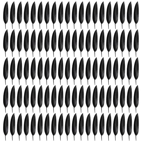Illkjasfc 100 Stück natürliche Flügel, natürliche schwarze Flügeldekoration für Traumfänger, Hochzeitsdekoration, Maskerade Illkjasfc 100 Stück natürliche Flügel, natürliche schwarze Flügeldekoration für Traumfänger, Hochzeitsdekoration, Maskerade von Illkjasfc