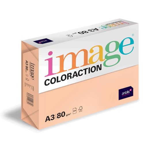 Image Coloraction Savana - farbiges Kopierpapier - DIN A3, 297 x 420 mm, 80 g/m² - buntes, holzfreies Druckerpapier für Kopierer - 500 Blatt - Salm von Image Coloraction