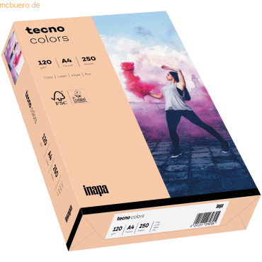 5 x Inapa Multifunktionspapier tecno colors Pastell A4 120g/qm VE=250 5 x Inapa Multifunktionspapier tecno colors Pastell A4 120g/qm VE=250 von Inapa