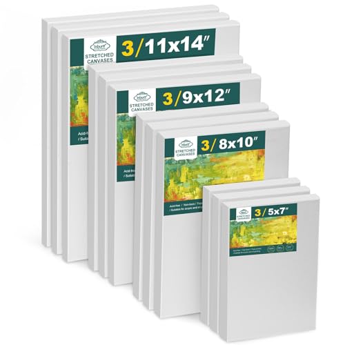 Leinwand zum Bemalen, 12 Stück Leinwand Set, Keilrahmen Leinwänd, Leinwände für Acryl, Aquarell, Ölfarbe für Künstler, Amateure Leinwand zum Bemalen, 12 Stück Leinwand Set, Keilrahmen Leinwänd, Leinwände für Acryl, Aquarell, Ölfarbe für Künstler, Amateure von Inburit