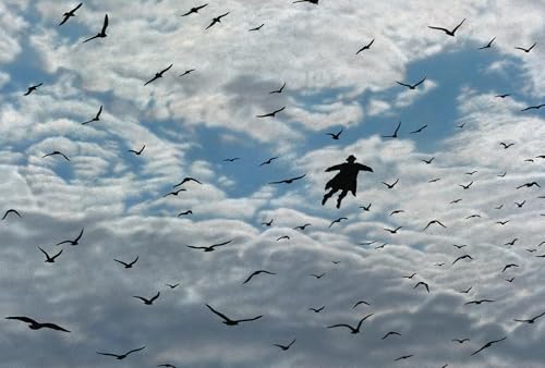 Inkognito Grußkarte mit Umschlag/Klappkarte - Motiv: Der Flug - Reprise, Anlass:, Künstler/Verlag Quint Buchholz, Art-Nr.: 8073-5 von Inkognito