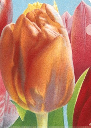 Inkognito Sichthüllen mit Eingriff A4 • 42218 ''Tulpen Künstler Quint Buchholz • Büro • Sichthüllen • Punched • pockets von Inkognito