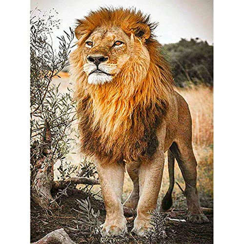 Instarry 5D Diamond Painting Full Groß Löwe Wohnzimmer Deko 60x40 cm von Instarry