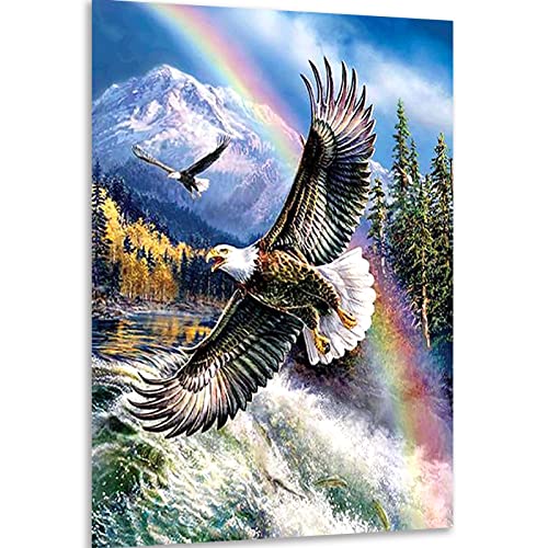 Instarry 5D Diamond Painting Set Groß fliegender Adler Decoration 75x50 cm von Instarry