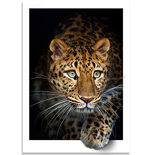 Instarry DIY 5D Diamond Painting Zubehör Groß Gepard Dekoration Wohnung Modern 75x50 cm von Instarry