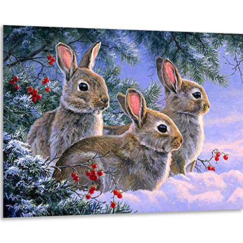 Instarry DIY 5D Diamond Painting Zubehör Groß Hase Haus Dekoration 60x40 cm von Instarry