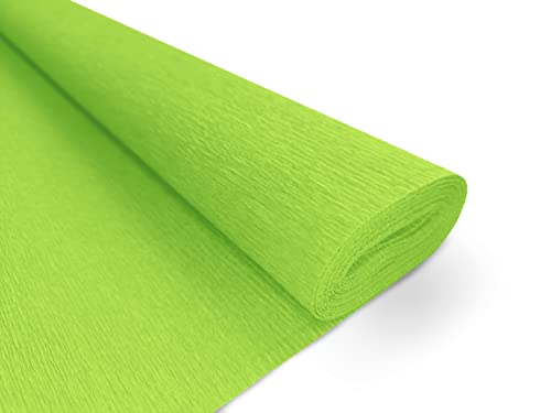 Interdruk Krepppapier Premium 160 g/m2 für Floristen und Kunstprojekte - 116 Hellgrün Interdruk Krepppapier Premium 160 g/m2 für Floristen und Kunstprojekte - 116 Hellgrün von Interdruk