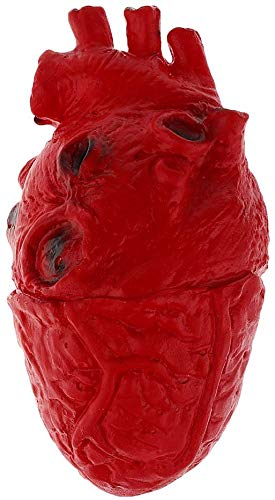 Inzopo Beängs Tigend Haunted House Menschliches Herz Organ Körperteil Grau Fluid Halloween Prop Dekoration Inzopo Beängs Tigend Haunted House Menschliches Herz Organ Körperteil Grau Fluid Halloween Prop Dekoration von Inzopo