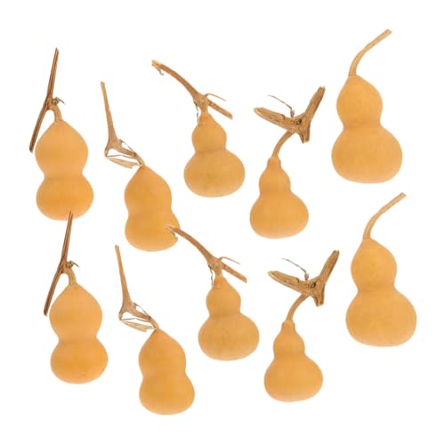 Ipetboom 10 STK. Teiliges Natürliche Gourd Adorns Mini Kalebassen Leichte Desktop Dekoration Handgefertigte Calabash Ornamente Vielseitig für Wohnzimmer Büro Party Geeignet Ipetboom 10 STK. Teiliges Natürliche Gourd Adorns Mini Kalebassen Leichte Desktop Dekoration Handgefertigte Calabash Ornamente Vielseitig für Wohnzimmer Büro Party Geeignet von Ipetboom