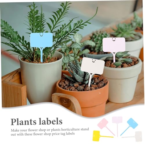 Ipetboom 50 Stück Pflanzenetiketten Kunststoff Gartenstecker Pflanzenschilder zur Pflanzenkennzeichnung für Blumenladen und Pflanzenverkauf Ipetboom 50 Stück Pflanzenetiketten Kunststoff Gartenstecker Pflanzenschilder zur Pflanzenkennzeichnung für Blumenladen und Pflanzenverkauf von Ipetboom
