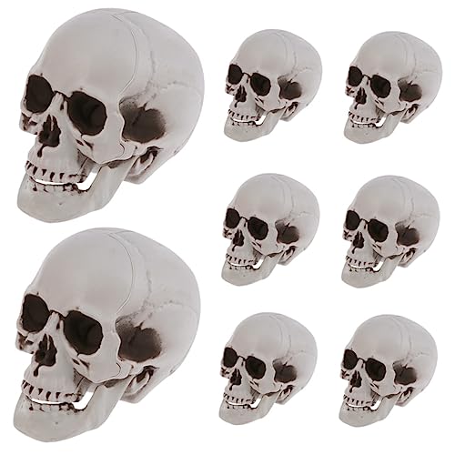 Ipetboom 8 Stück Realistische Halloween Schädel Deko Teiliges Skelett Kopf Modell für Gruselige Party Requisiten Festliche Tischdekoration Innen Außen Geeignet Ipetboom 8 Stück Realistische Halloween Schädel Deko Teiliges Skelett Kopf Modell für Gruselige Party Requisiten Festliche Tischdekoration Innen Außen Geeignet von Ipetboom