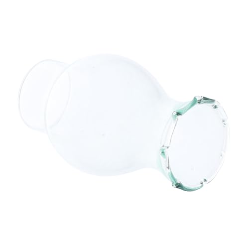 Ipetboom Öllampen für Petroleumlampe Vintage Transparenter Lampenschirm für Wohnkultur und Camping Ersatz für Beschädigte Kerosinlampe von Ipetboom
