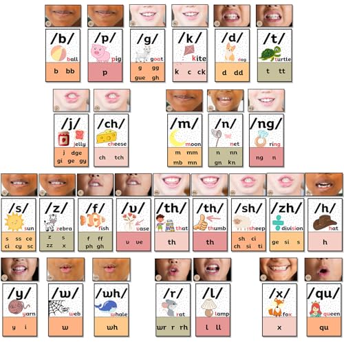 Ireer Sound Wall Klassenzimmer Boho Neutral Phonics Kit, Science of Reading Poster für Kindergarten, Sprachtherapie-Materialien, Phonemisches Bewusstsein, ESL-Lehrmaterial von Ireer