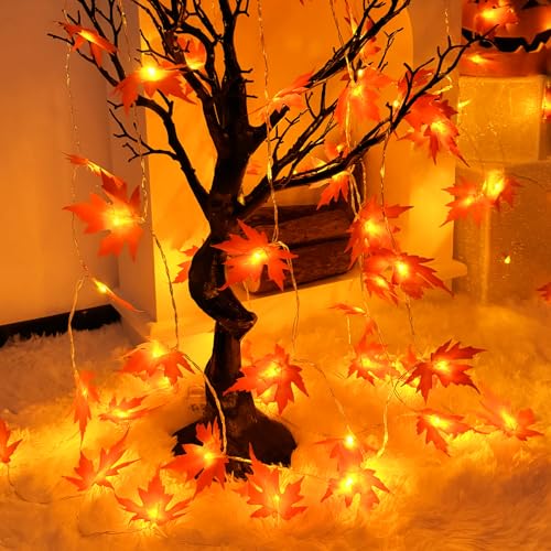 Isisyu Herbst Ahornblatt Lichterkette - 3M 20 LED Batterie Mit Timer - Girlande Dekoration für Halloween Kürbis Erntedankfest Thanksgiving Party Herbstdeko Isisyu Herbst Ahornblatt Lichterkette - 3M 20 LED Batterie Mit Timer - Girlande Dekoration für Halloween Kürbis Erntedankfest Thanksgiving Party Herbstdeko von Isisyu