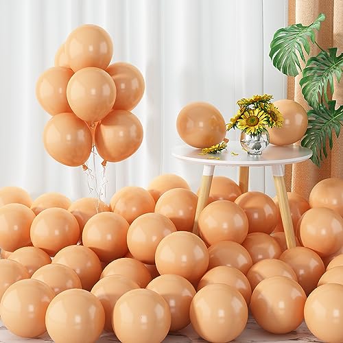 5Inch Nude Luftballons 60pcs Kleine Vintage Pfirsich Ballons Aprikose Latex Ballon Pfirsichfarben Miniballons Runde Luftballon für Geburtstagsdeko Hochzeitsdeko von Isndare