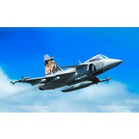 JAS 39 Gripen von Italeri