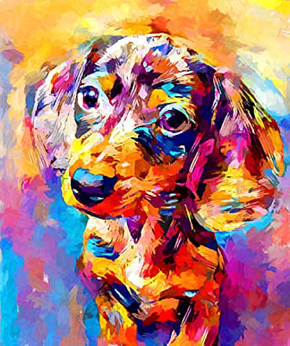 Iujbtb 5D Diamond Painting Set Dackel Tier Hund DIY Diamant Painting Bilder Zubehör für Erwachsene Kinder Anfänger Wand Dekorationen Wohnzimmer Schlafzimmer Büro Bar 40x50cm Kein Rahmen Iujbtb 5D Diamond Painting Set Dackel Tier Hund DIY Diamant Painting Bilder Zubehör für Erwachsene Kinder Anfänger Wand Dekorationen Wohnzimmer Schlafzimmer Büro Bar 40x50cm Kein Rahmen von Iujbtb