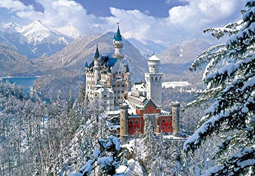 Ivansung Neuschwanstein Schloss Malen nach Zahlen Kit für Erwachsene, Mittel, Realistisch, Acryl, 1 Stück, Nicht zusammenklappbar von Ivansung