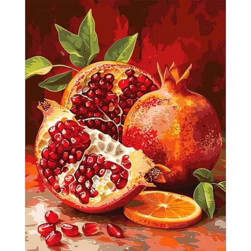 JATOK Malen Nach Zahlen Erwachsene, Paint by Numbers Malen Nach Zahlen, DIY Obst mit Pinseln und Acrylfarben Handgemalt Ölgemälde Leinwand für Home Decor, Ohne Rahmen (40x50cm/16x20in) von JATOK